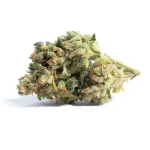 Acapulco Gold originated in Acapulco, Mexico, but no one seems to remember who first grew it or what parent strains were used