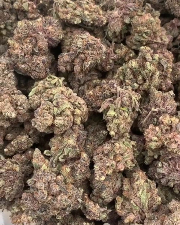 Island Sweet Skunk cannabis online