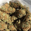 Panama Red cannabis online australia