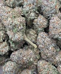 Pineapple Express marijuana strain